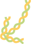 list_image